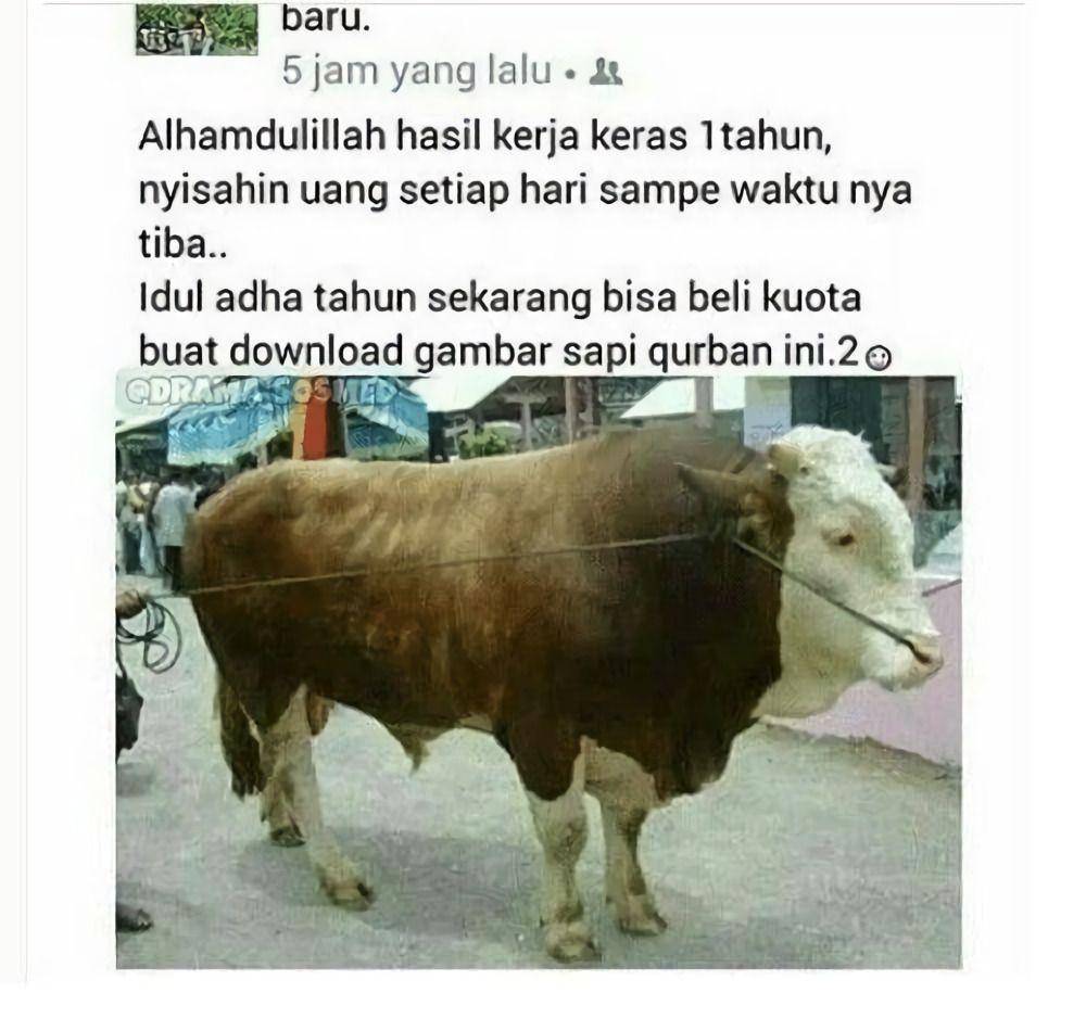 status media sosial pamer hewan kurban (instagram.com/drama.sosmed)