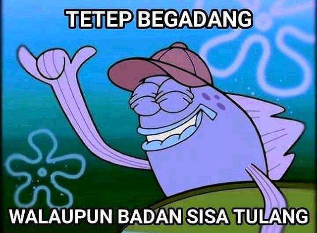 meme tetap walau (instagram.com/dr_memes.id_vol2)