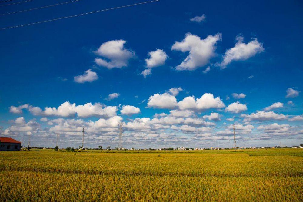 [PUISI] Ladang yang Luas