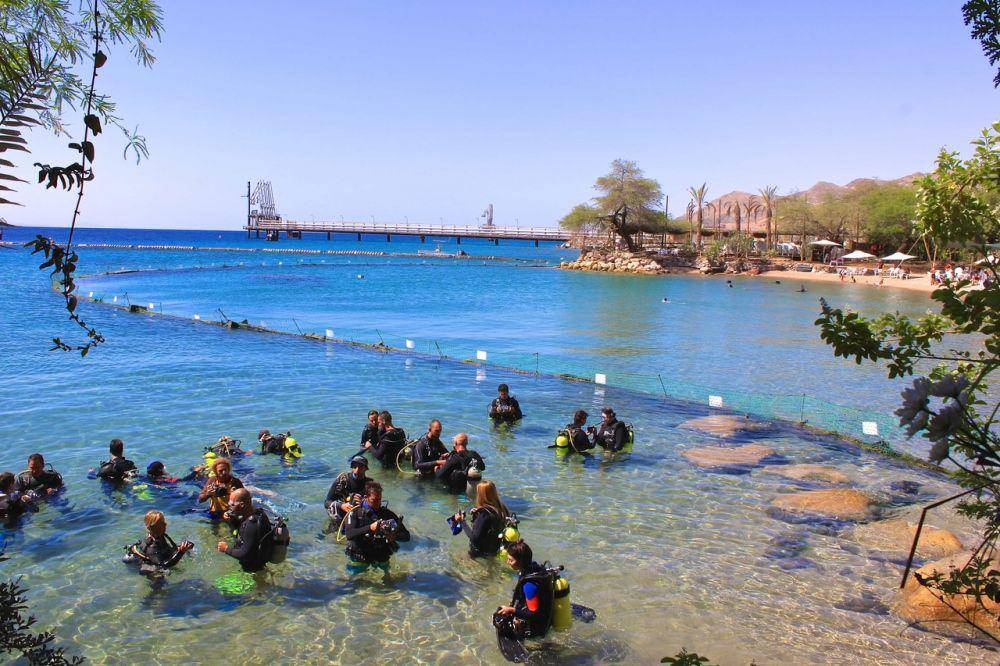 Dolphin Reef Beach (bohemianvagabond.com)