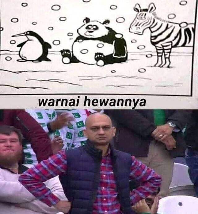 meme muka kesal (instagram.com/rajaherp)