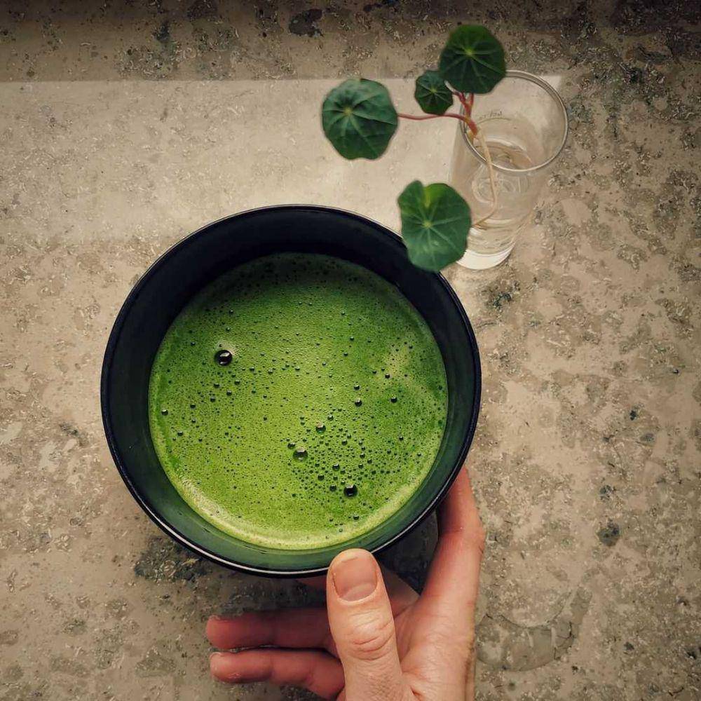 Matcha (instagram.com/floratcha.loves.matcha)