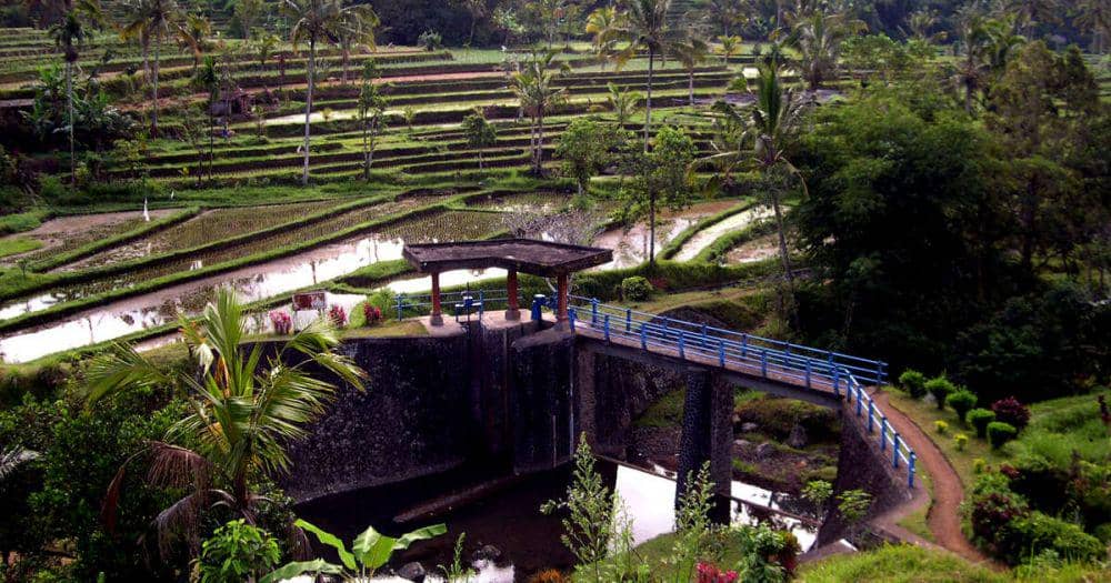 Cultural Landscape Subak Bali (dok. UNESCO)