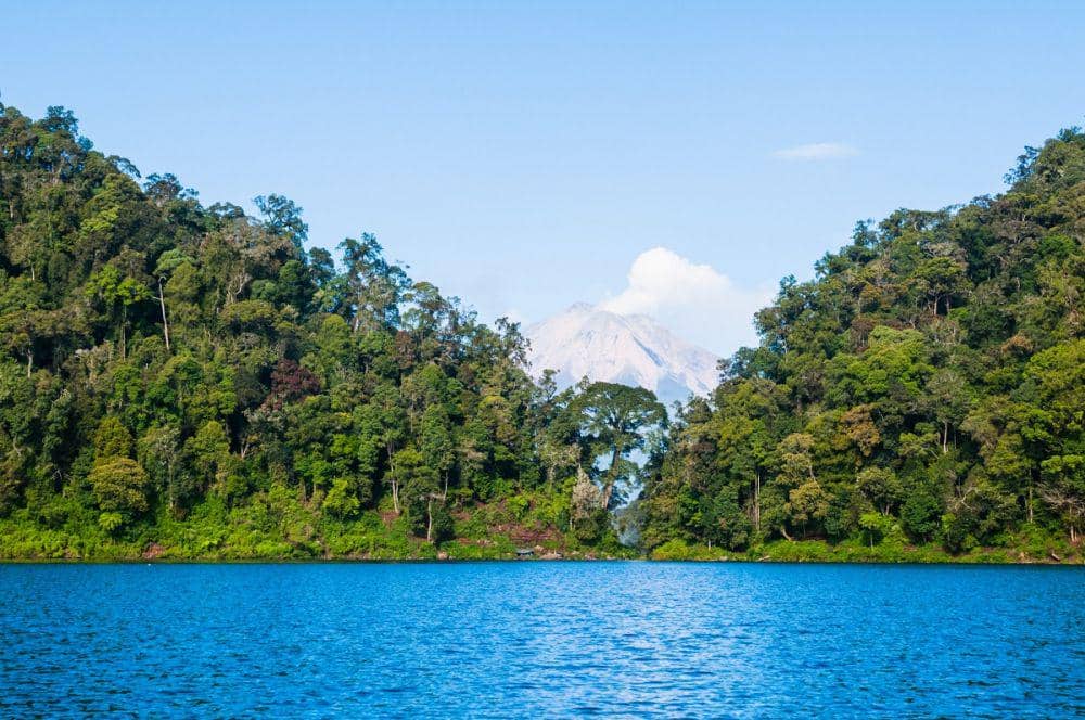Taman Nasional Kerinci Seblat (authentic-indonesia.com)
