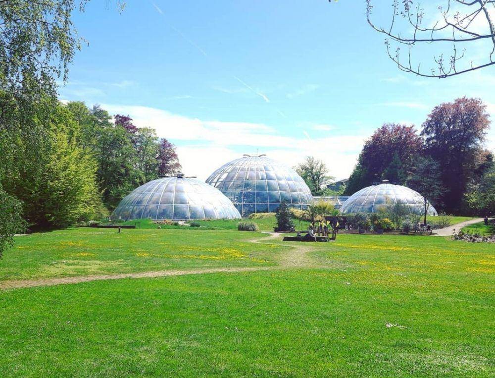 Botanical Garden (Instagram.com/swiss_navigator)