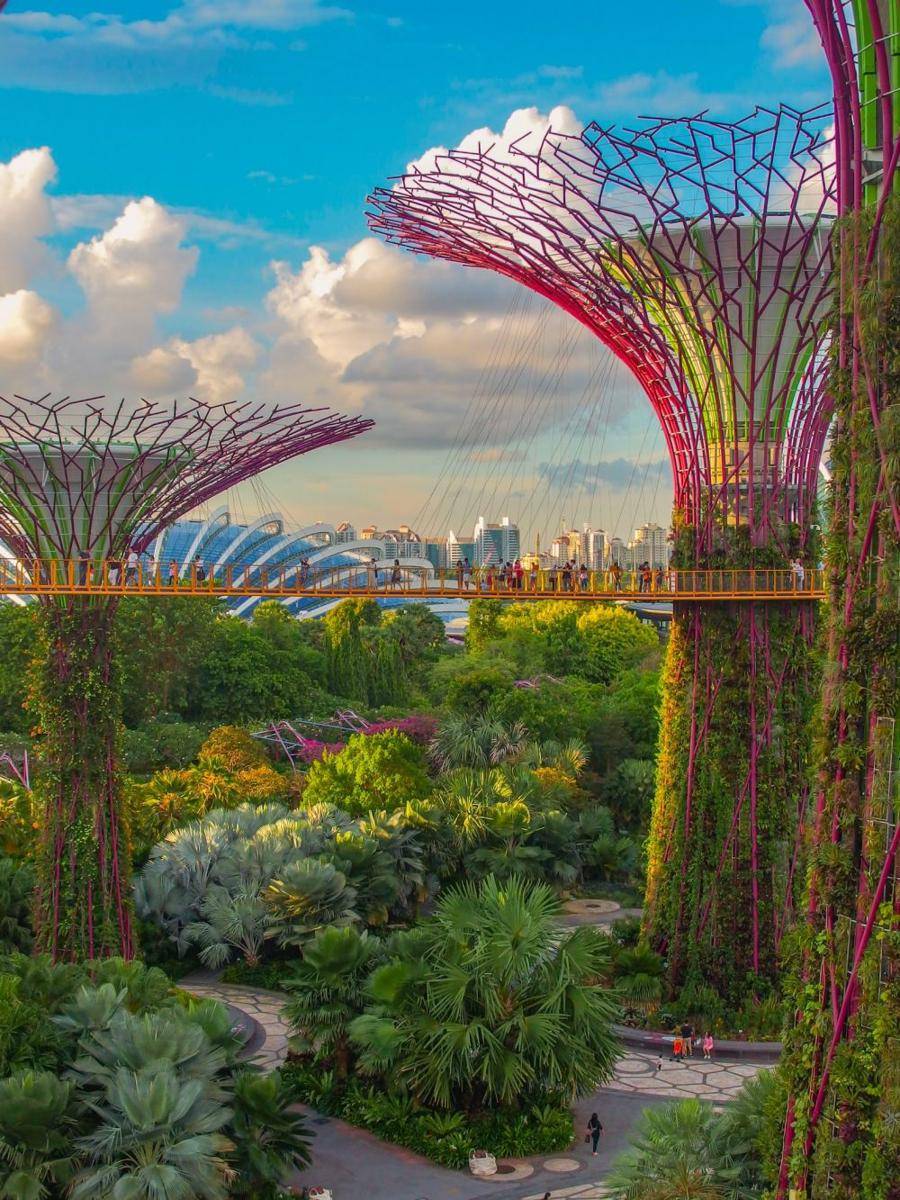 Singapura (unsplash.com/Coleen Rivas)