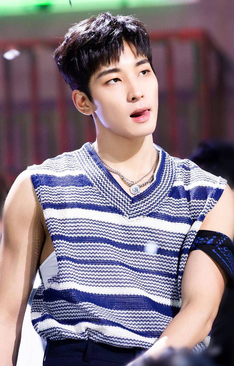 Wonwoo SEVENTEEN (dok. SBS/Inkigayo)