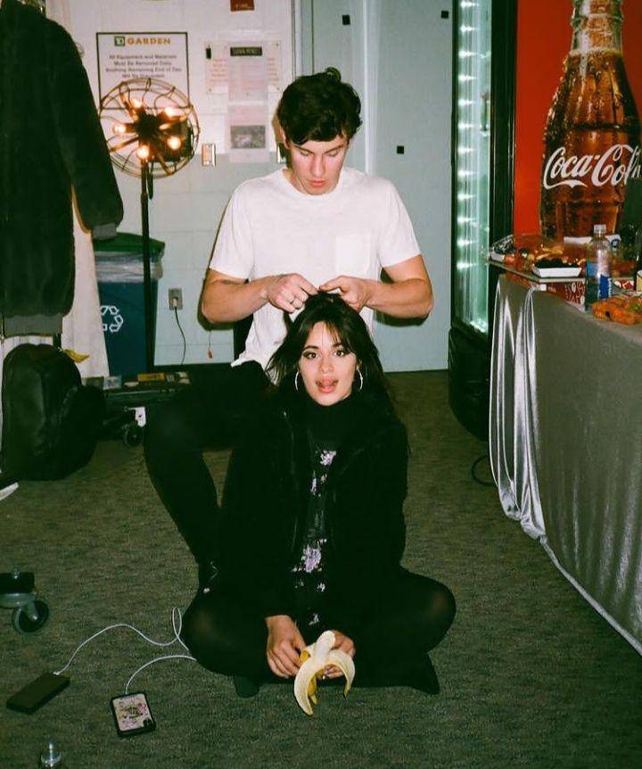 Shawn Mendes dan Camila Cabello (instagram.com/camila_cabello)