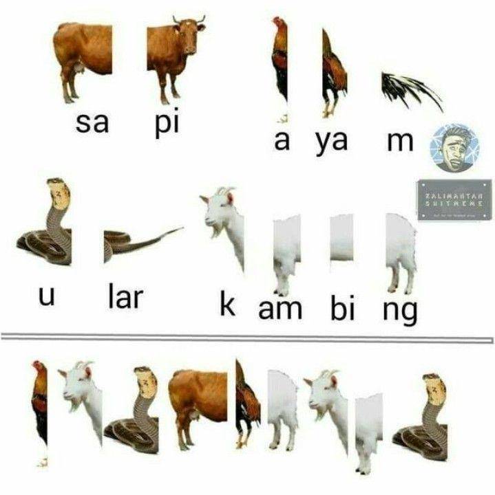 meme tebakan (instagram.com/memeykocak)