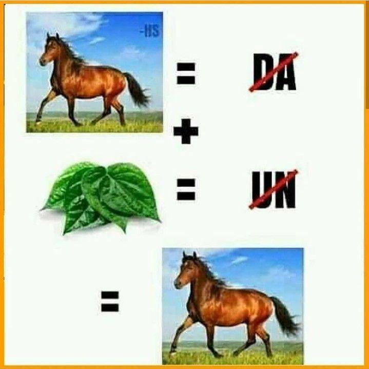 meme tebakan (instagram.com/ngakukocak)
