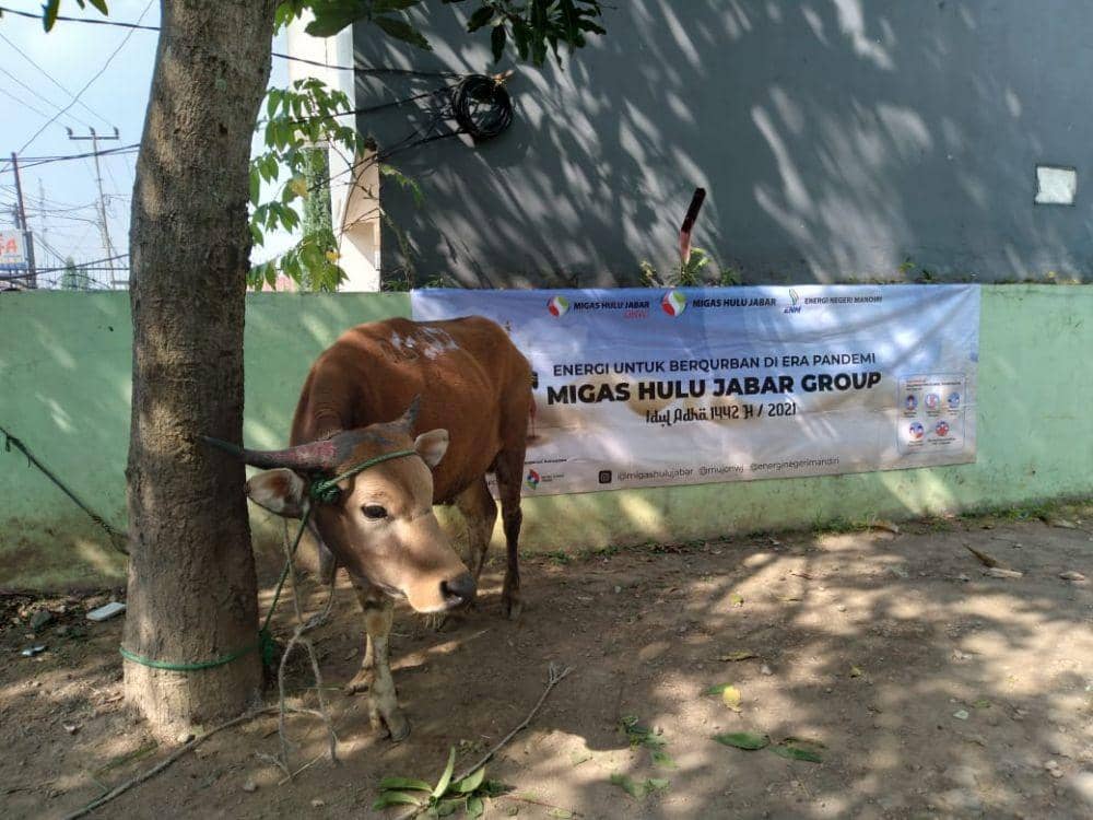 Penyaluran daging kurban untuk bantuan pada masyarakat. IDN Times/Istimewa