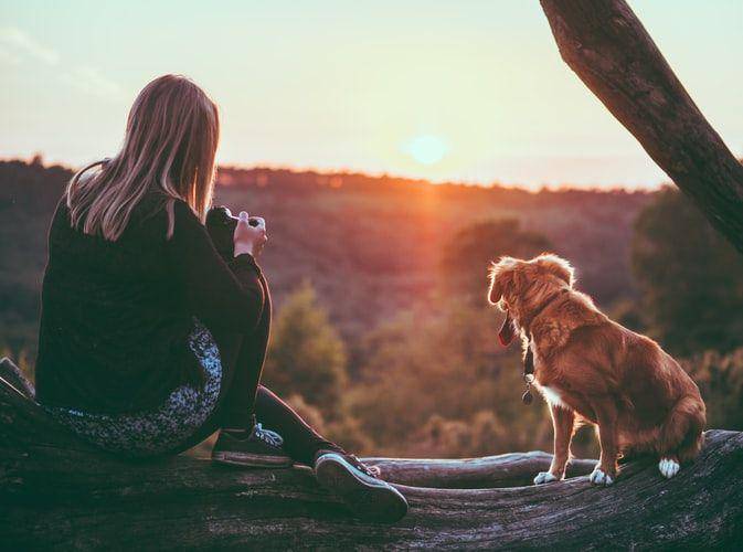 Ilustrasi perempuan dan anjingnya (unsplash.com/jamie452)