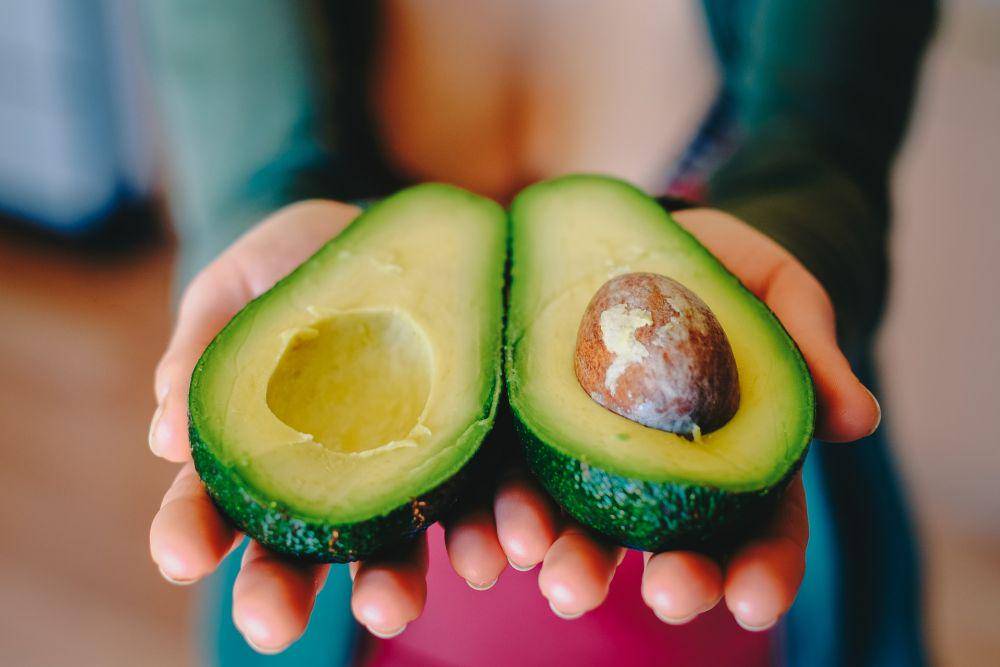 ilustrasi buah alpukat (pixabay.com/coyot)