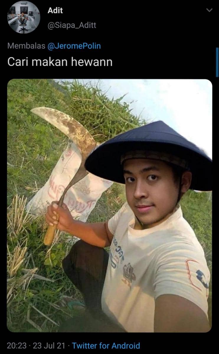 hasil editan netizen (twitter.com/Siapa_Aditt)