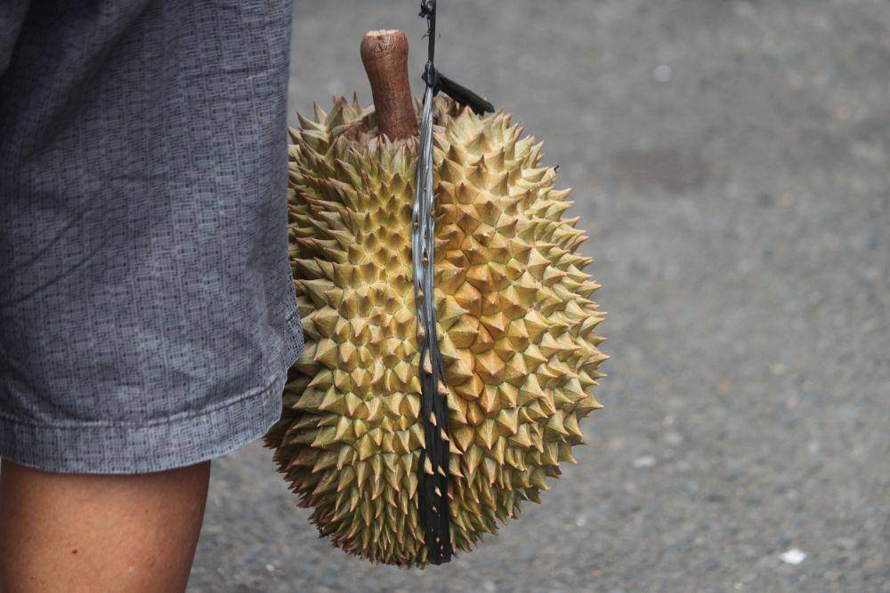ilustrasi buah durian (unsplash.com/@mufidpwt)