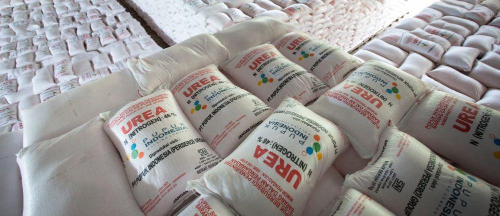 Bupati Jamin Petani Lotim Tidak akan Kekurangan Pupuk