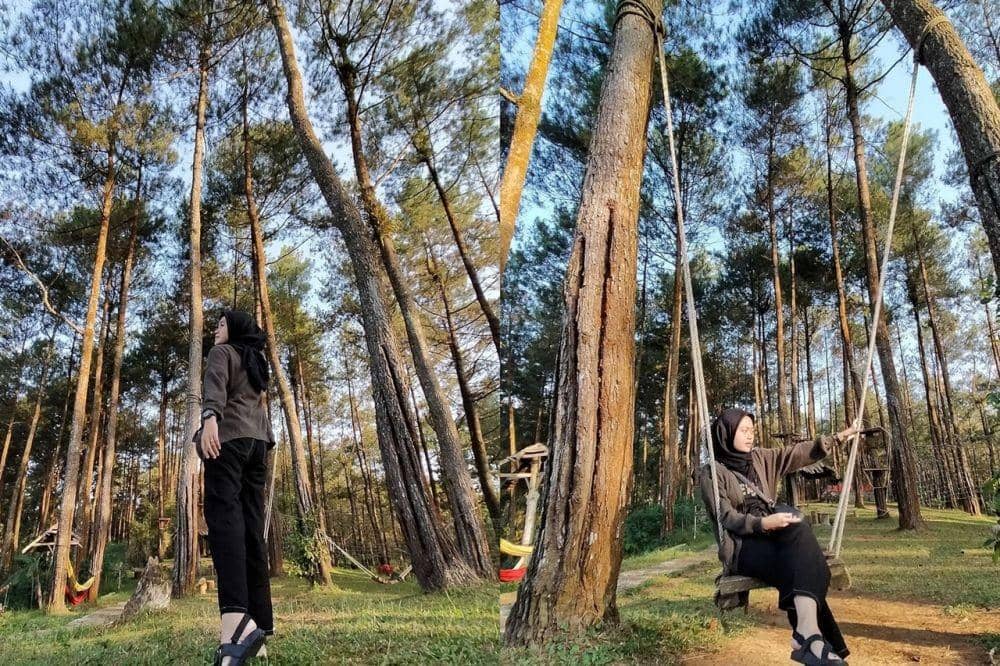 Hutan Pinus Kalilo (instagram.com/endahchy_)