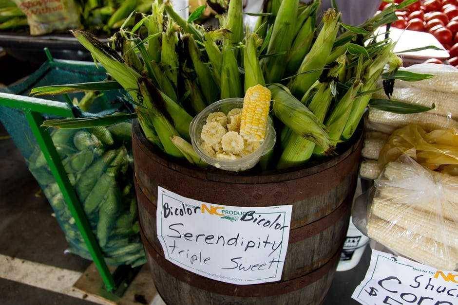 Ilustrasi jagung (Pexels.com/Mark Stebnicki)