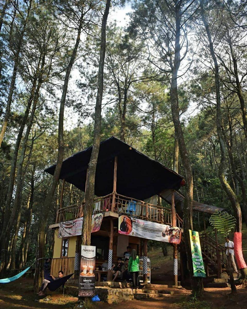 Hutan Pinus Pasir Langlang (instagram.com/patlot.hideung)