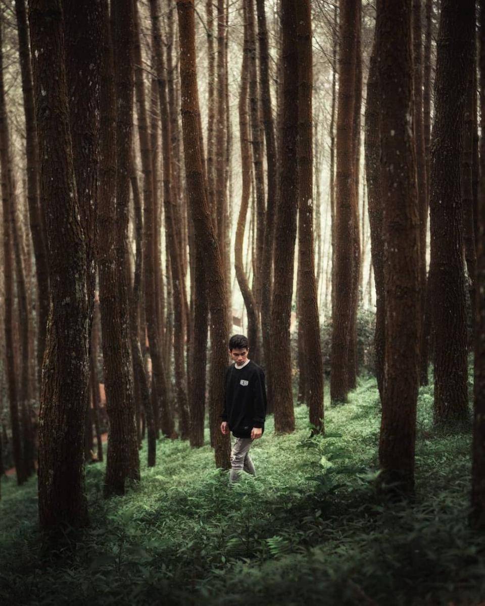 Bukit Moko, Bandung (instagram.com/hmdn7)