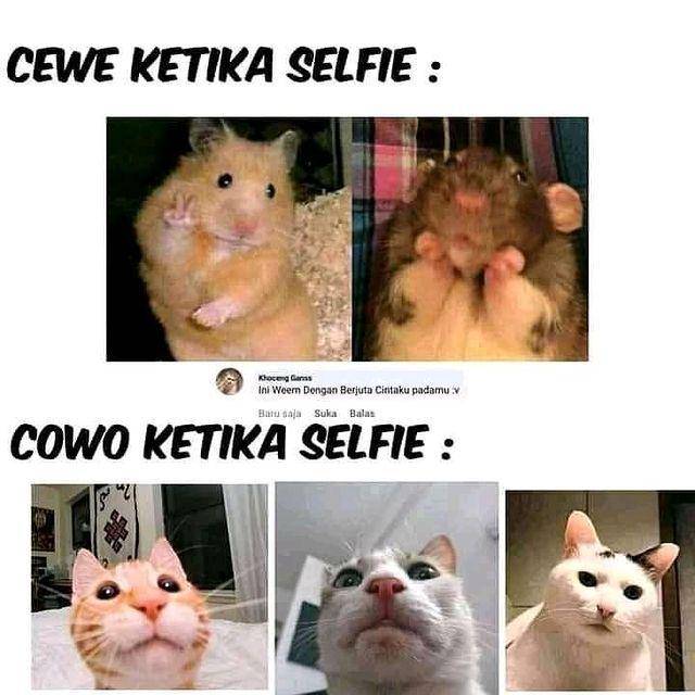 meme beda cewek dan cowok (instagram.com/majelis_humor_indonesia)