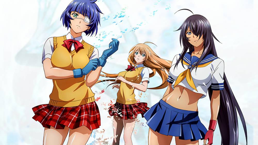 Arms/Ikki Tousen