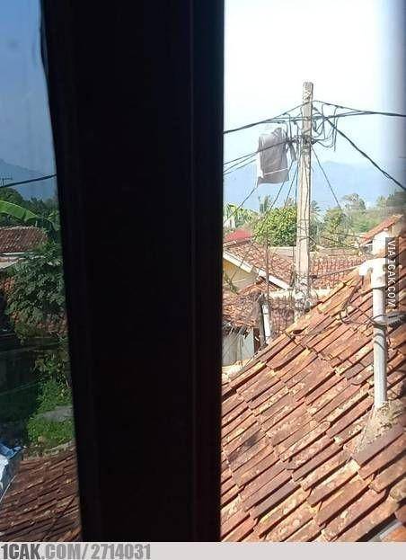 momen lucu dipotret dari atas (1cak.com)