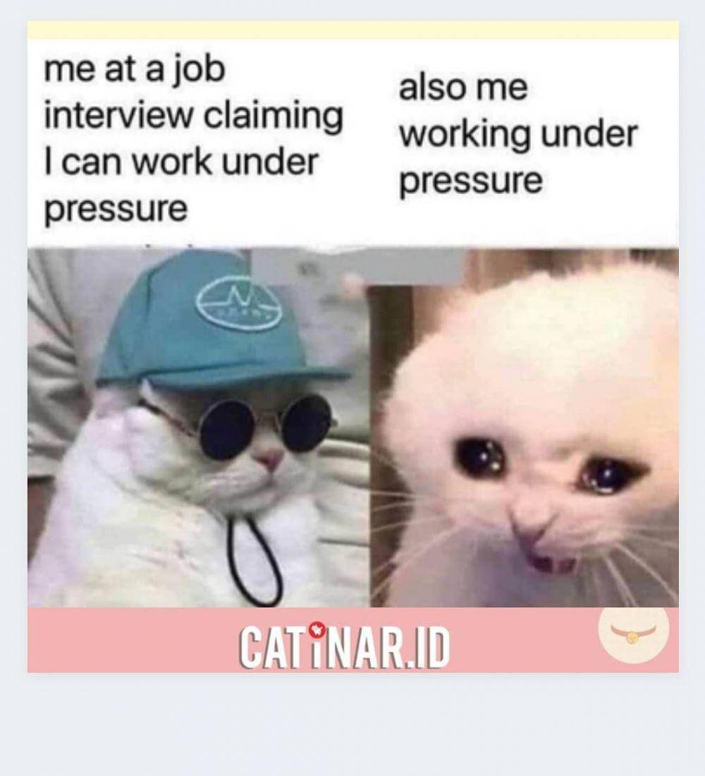 meme interview (instagram.com/catinar.id)