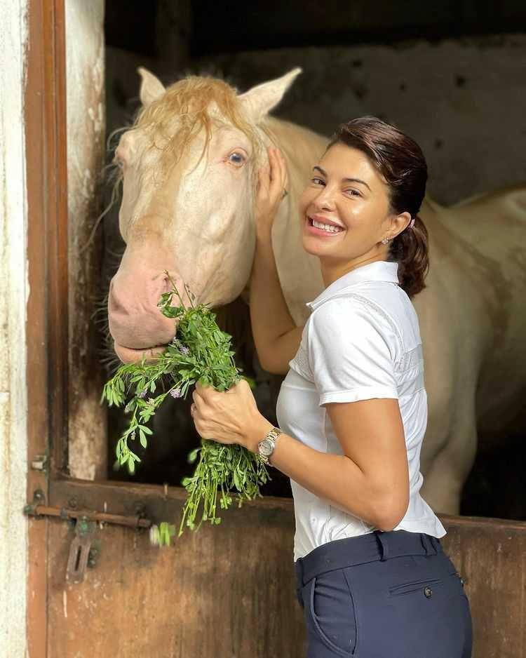 Jacqueline Fernandez (instagram.com/jacquelinef143)