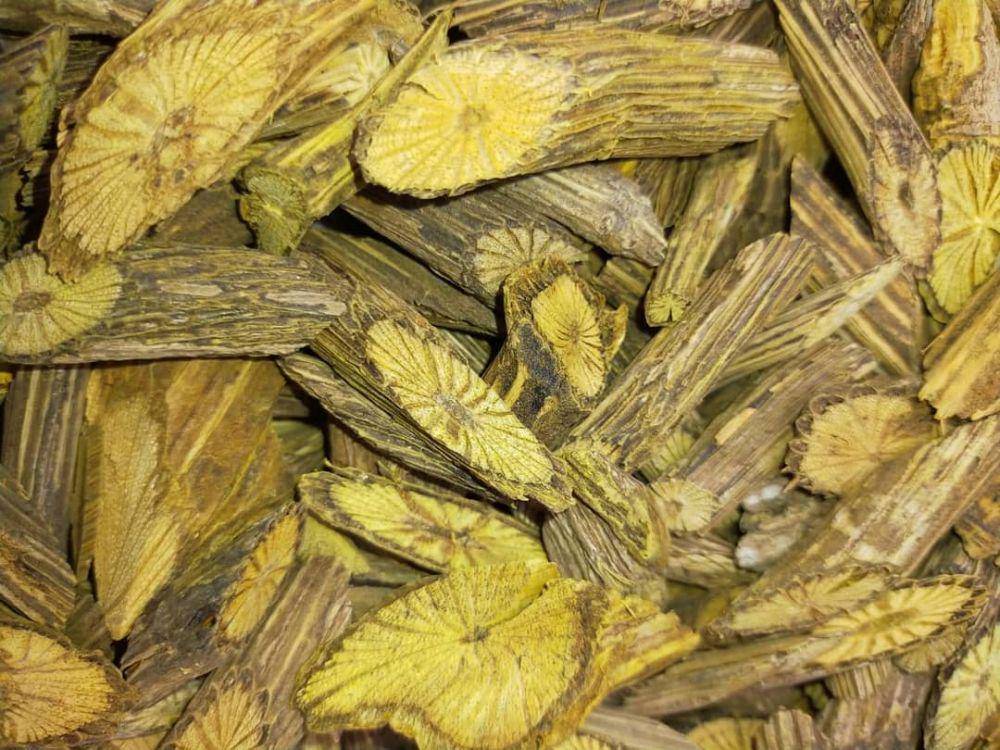 akar kuning (instagram.com/tehbajakahkalimantan)