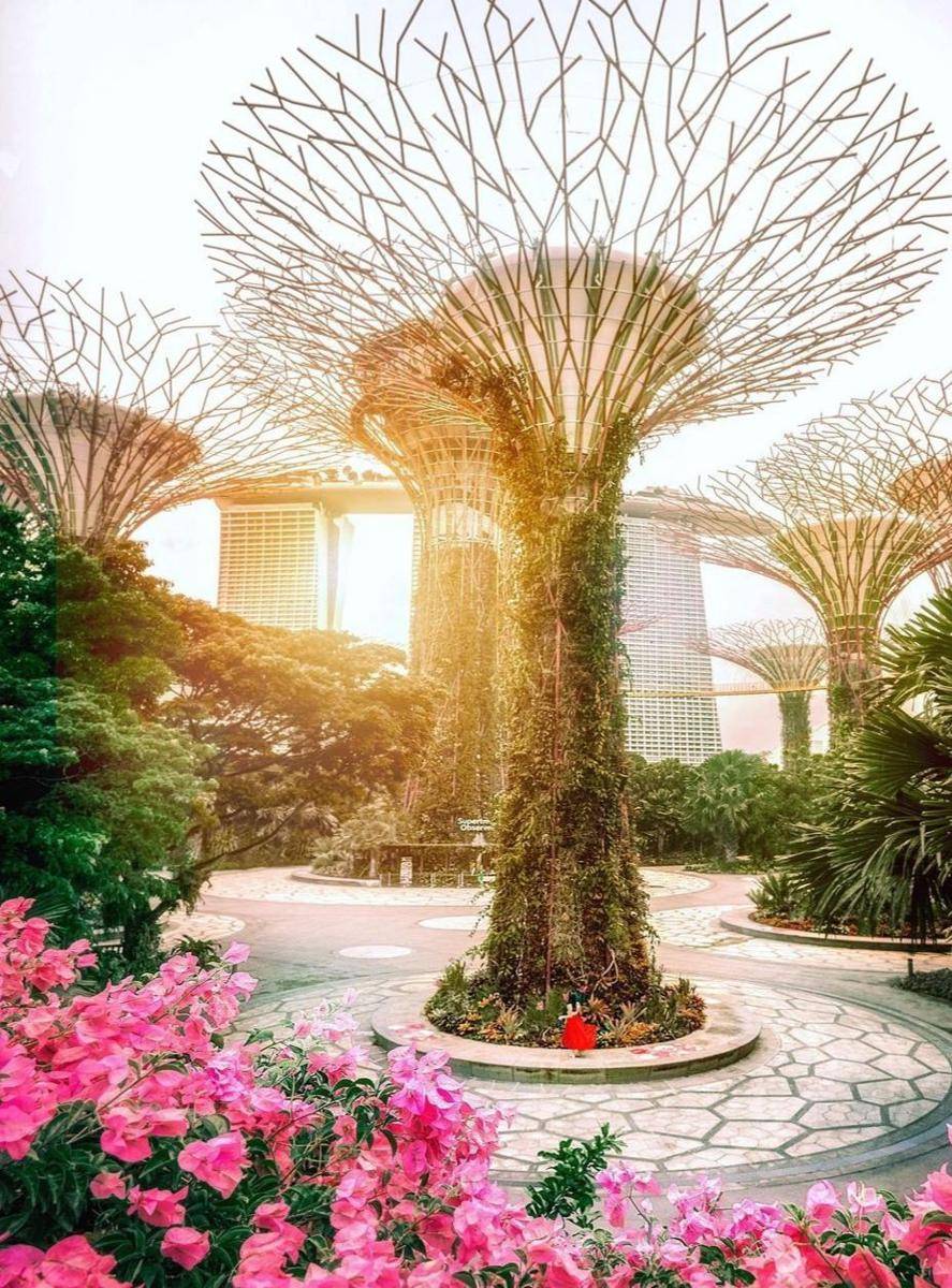 Gardens By The Bay (Instagram.com/blushblushtomato)