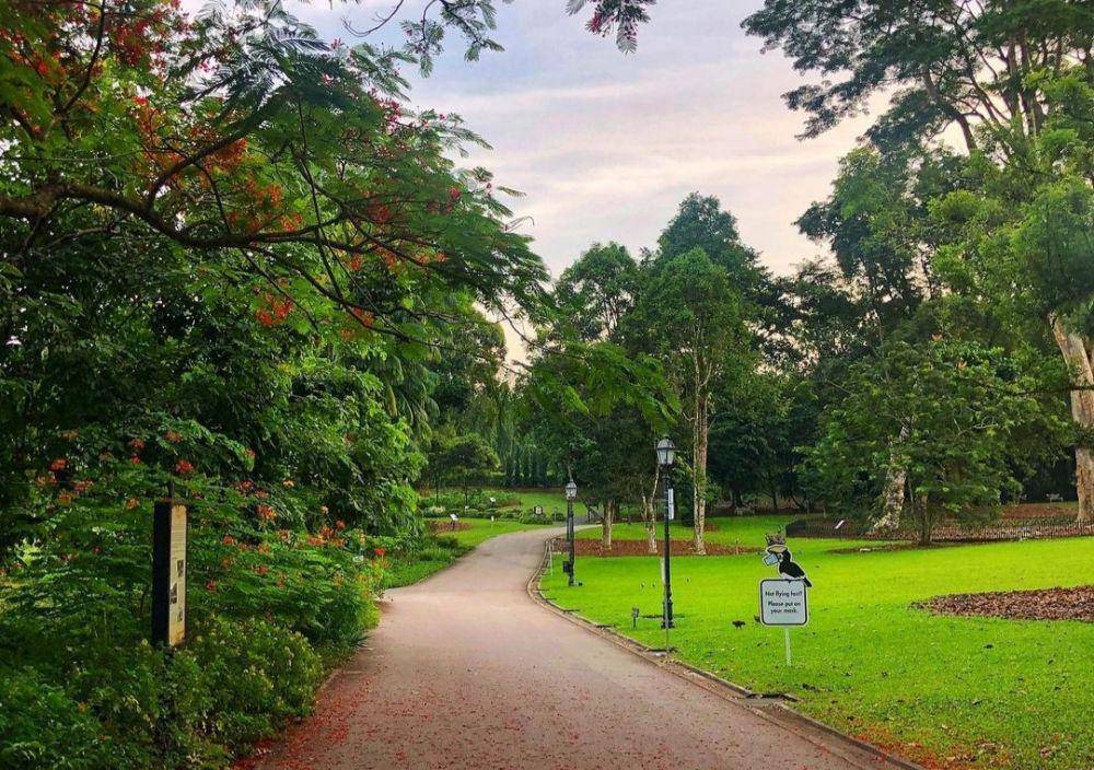 The Botanic Gardens (Instagram.com/sg_cityscapes)