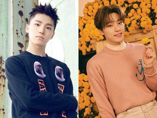 Dino SEVENTEEN (seventeen-17.com)