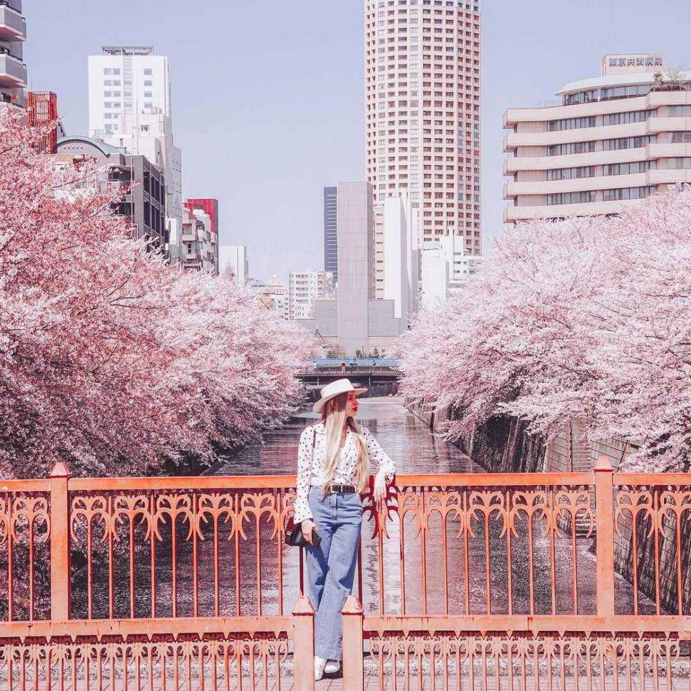Meguro River (instagram.com/victoria_krasa)