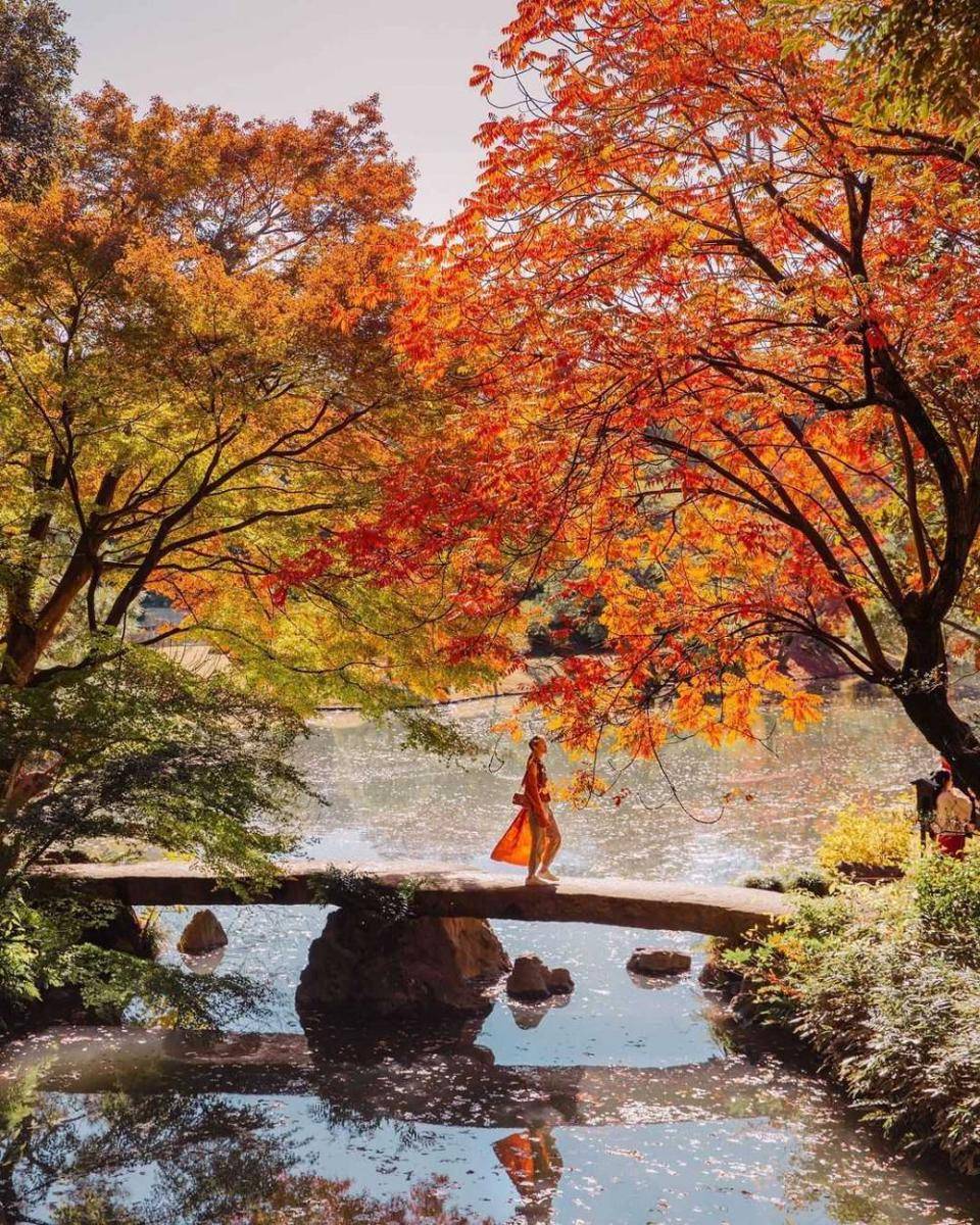 Rikugien Gardens (instagram.com/samishome)