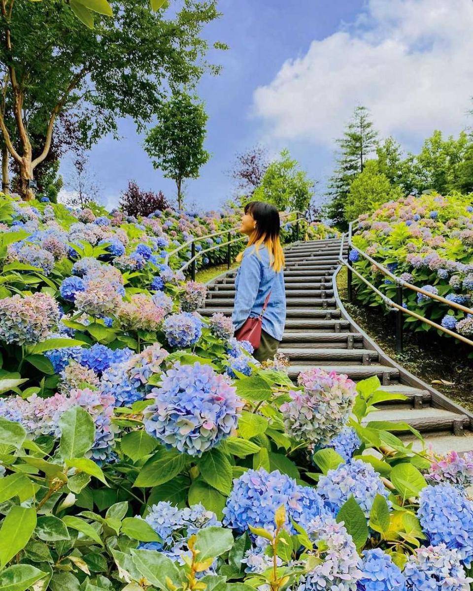 Taman Bunga di Odaiba (instagram.com/tokyo_touristinfo)