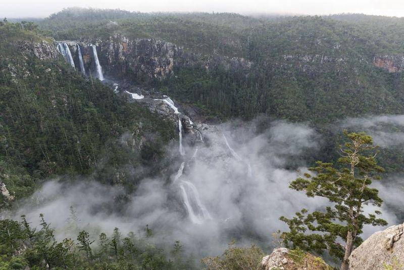 Air terjun Blencoe (parks.des.qld.gov.au)