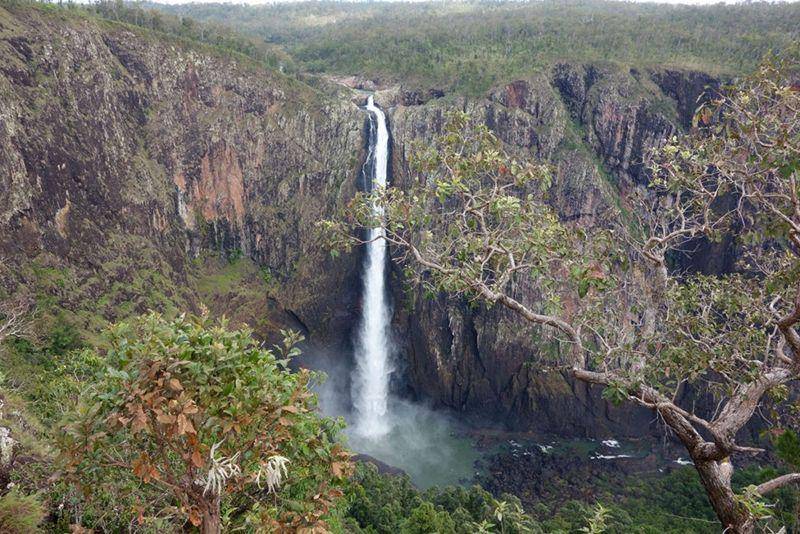 Air terjun Wallaman (thewildlifediaries.com)