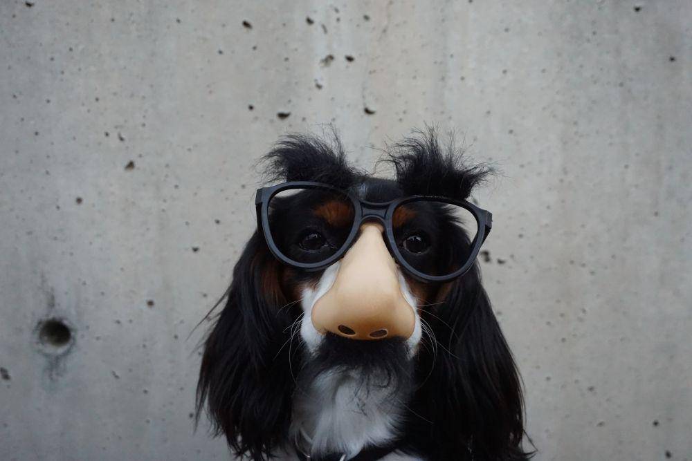 ilustrasi hidung (unsplash.com/Braydon Anderson)