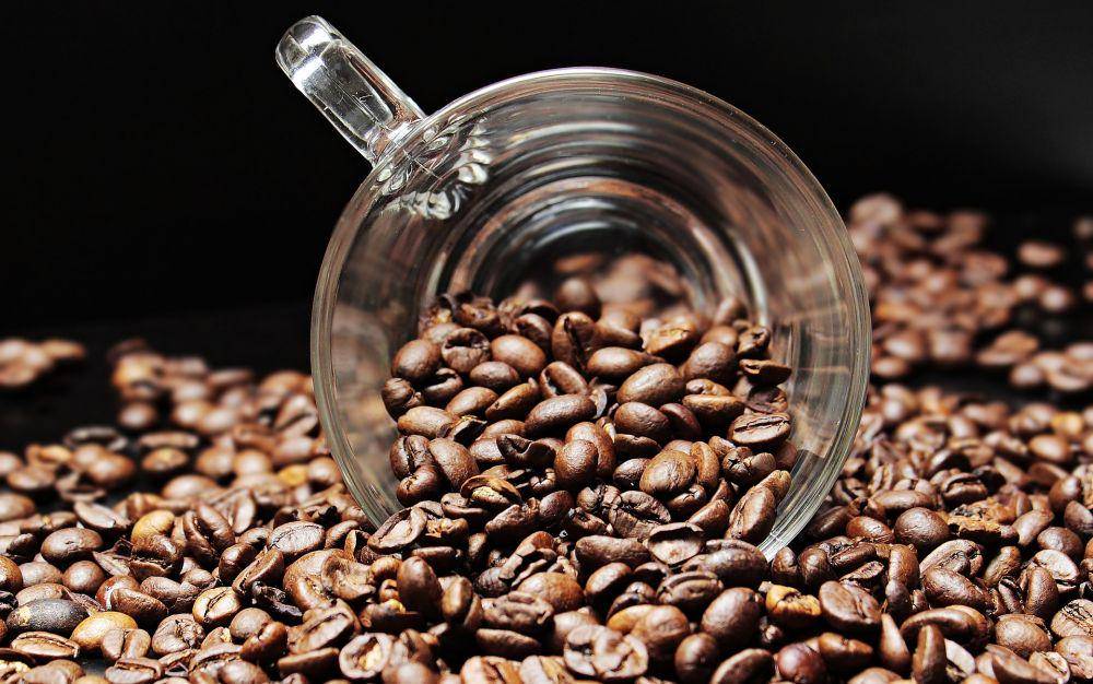 ilustrasi biji kopi (pixabay.com/S. Hermann dan F. Richter)