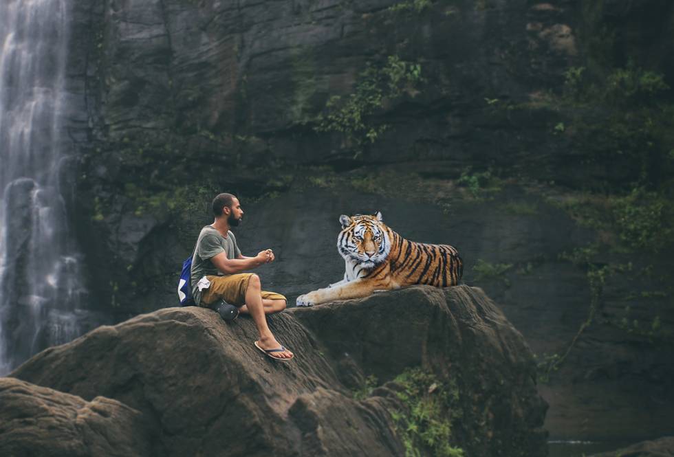 ilustrasi harimau bersama manusia (pixabay.com/FunkyFocus)
