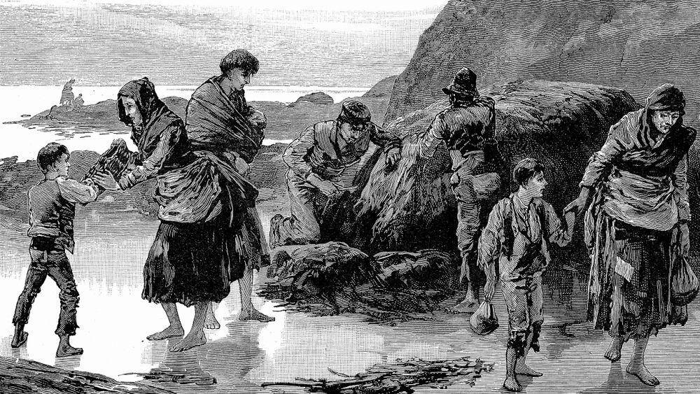 kelaparan kentang di Irlandia (britannica.com)