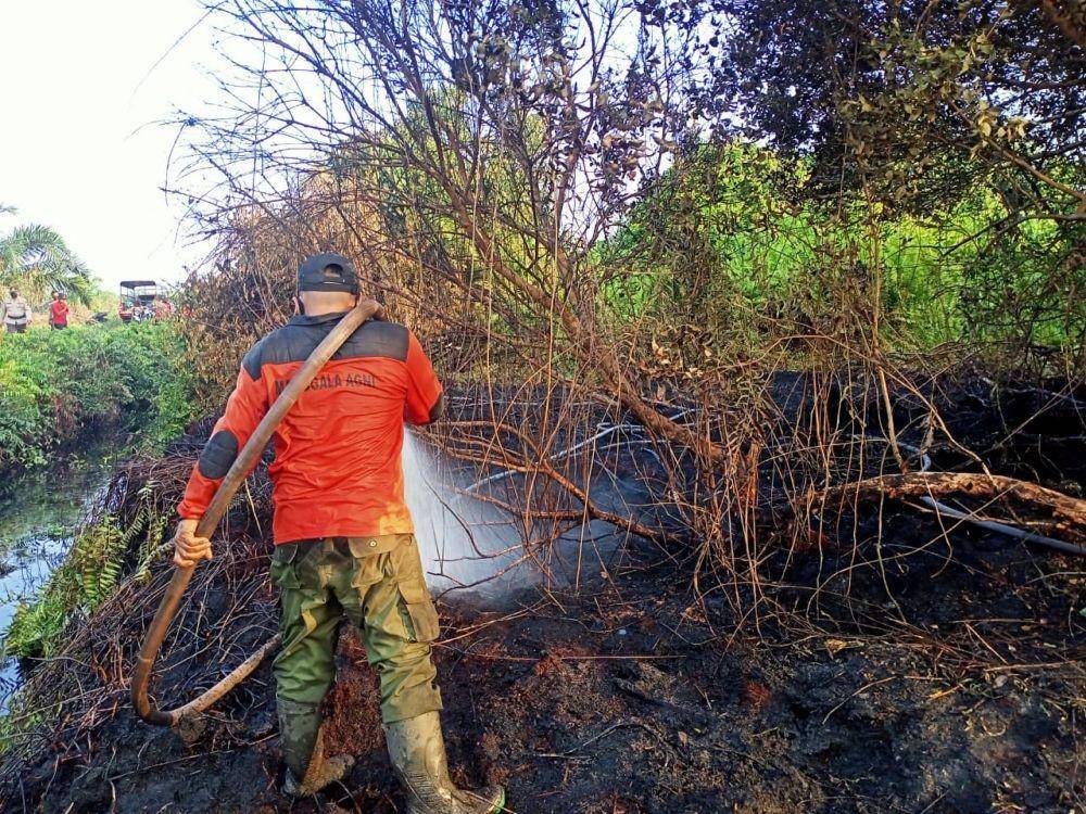 Foto : Tim saat memadamkan api yang melahap lahan di Kampung Mengkapan, Kecamatan Sungai Apit, Siak, Riau/ IDN Times, Istimewa