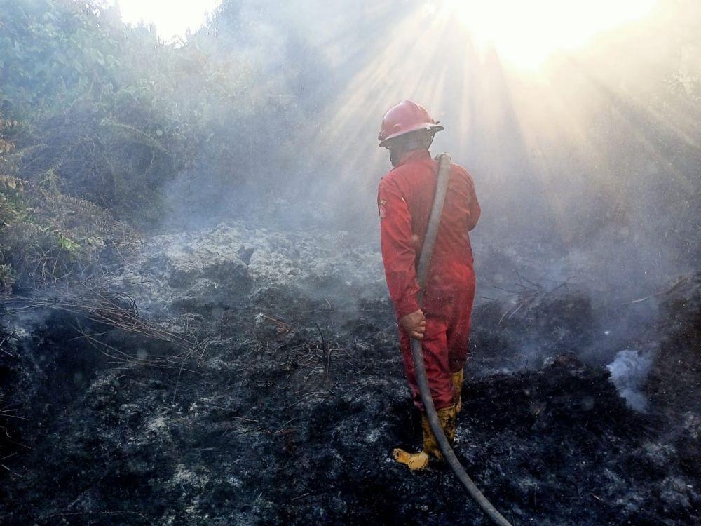 Kebakaran Hutan dan Lahan di Siak, Api Belum Bisa Dipadamkan