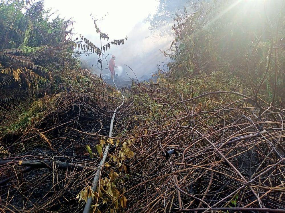 Foto : Manggala Agni Daops Sumatera VI, TNI, Polri berjibaku memadamkan api yang terus berkobar/ IDN Times, Dokumentasi Manggala Agni