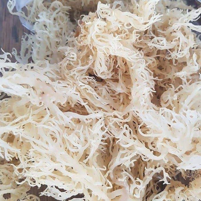 rumput laut kering (instagram.com/jualrumputlaut)