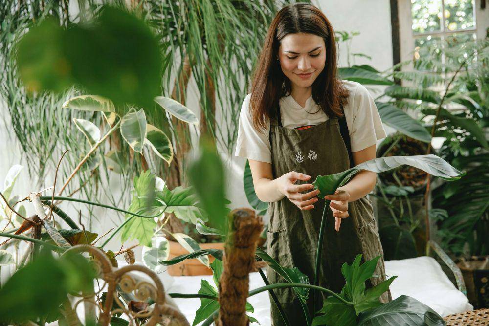 Ilustrasi seorang wanita sedang berkebun (Pexels.com/Juan Pablo Serrano Ar)
