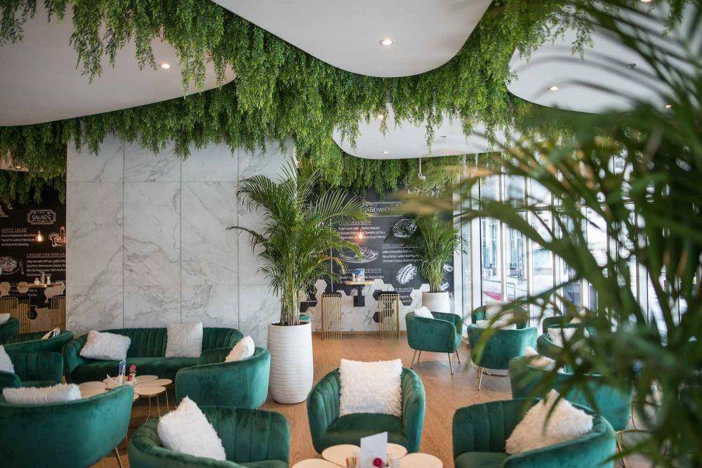 Rekomendasi tanaman untuk dekorasi coffee shop (amazingarchitecture.com)