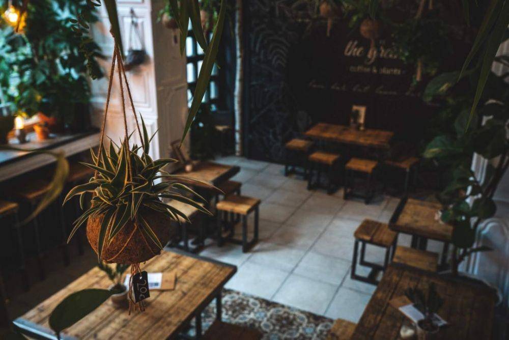 Rekomendasi tanaman untuk dekorasi coffee shop (theshopkeepers.com)