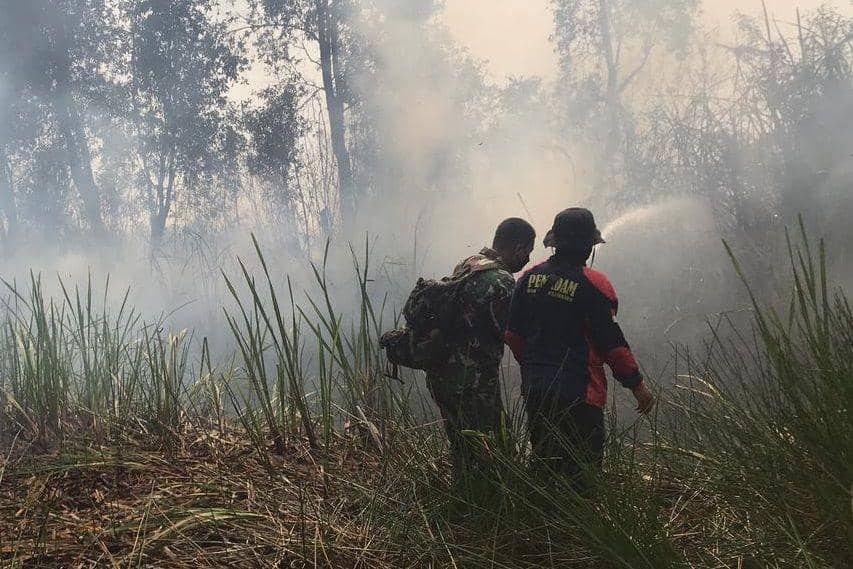 Satgas yang terdiri dari unsur BPBD, Manggala Agni, TNI, Polri, Satpol PP, Damkar dan masyarakat bekerja sama untuk memadamkan titik api di Kabupaten Tanah Laut, Kalimantan Selatan, Jumat (30/7/2021). (Dok. BPBD Tanah Laut)